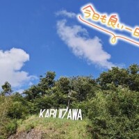 おはようございます