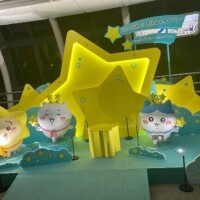 美咲【みさき】