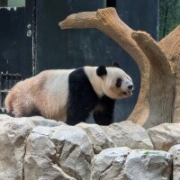 牧野【まきの】