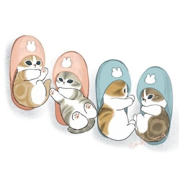 明日は予約のみ*゜