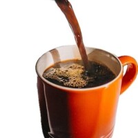 お久しぶりです　本日出ます