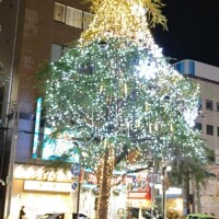 クリスマス〜
