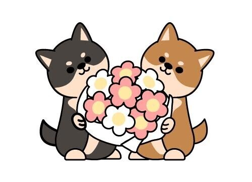 お礼写メ日記🩷