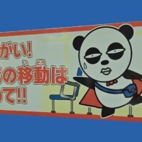 可愛いと思えるようになってきたかも(笑)