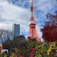 本日予定通り出勤します