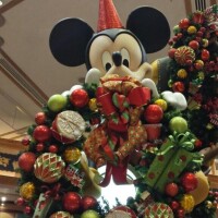 舞浜周辺へ、、