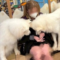 もふもふとあまあま