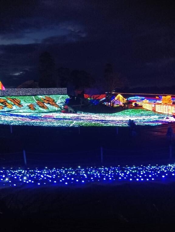 今日寂しくクリスマスイブです