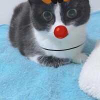 おはよう♡♡♡