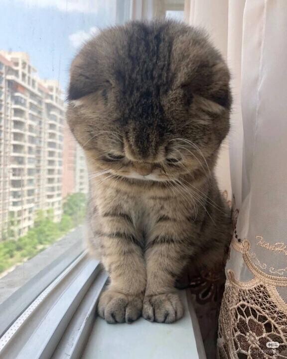 おやすみです…