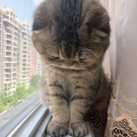 おやすみです…