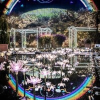 キラキラの世界