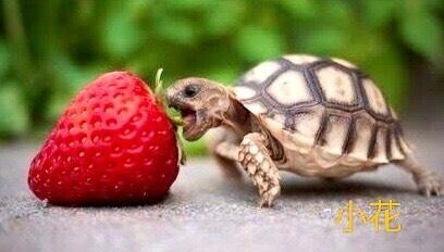 ∠(ﾟДﾟ)/ウェーイ