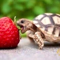 ∠(ﾟДﾟ)/ウェーイ