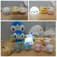 仲間が増えた(笑)