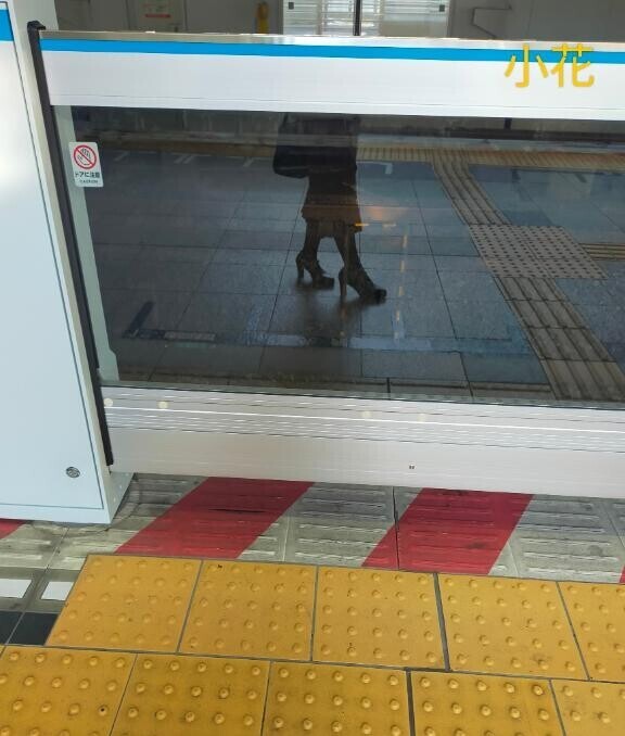 西丸 小花 参上∠(　˙-˙ )／