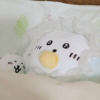 先に上がってました。