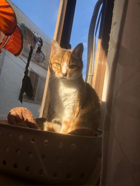 良いお天気だね(*^^*)♡