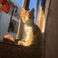 良いお天気だね(*^^*)♡