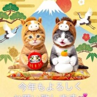 𝗛𝗮𝗽𝗽𝘆 𝗡𝗲𝘄 𝗬𝗲𝗮𝗿♬*.:*