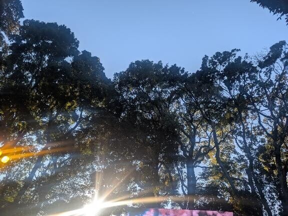 あけましておめでとうございます。