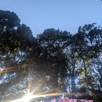 あけましておめでとうございます。