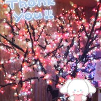 昨日のお礼＆明日