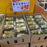 今年初めに貴方抱かれたいよ