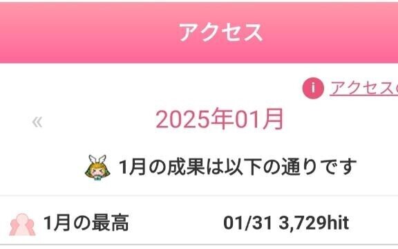 去年のアクセス