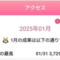 去年のアクセス