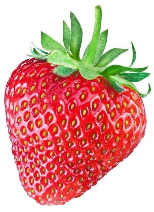 [お題]from:ナポレオンさん