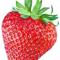 [お題]from:ナポレオンさん