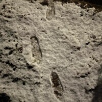 もう少ししたら♪