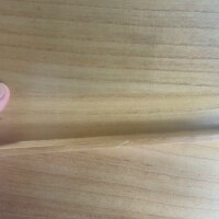 素敵なおぼん見つけた