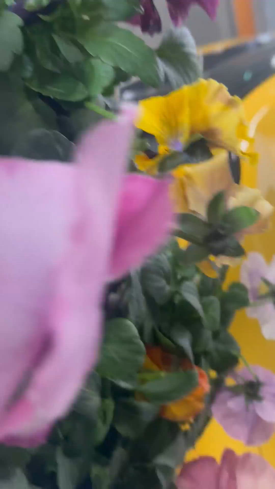 また花を買っちゃいました