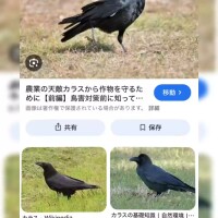 年末年始！yellありがとう