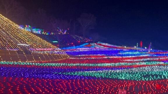 貴方に会いたいよ