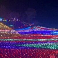 貴方に会いたいよ