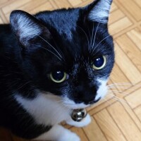 今日のトト様可愛すぎる件！！