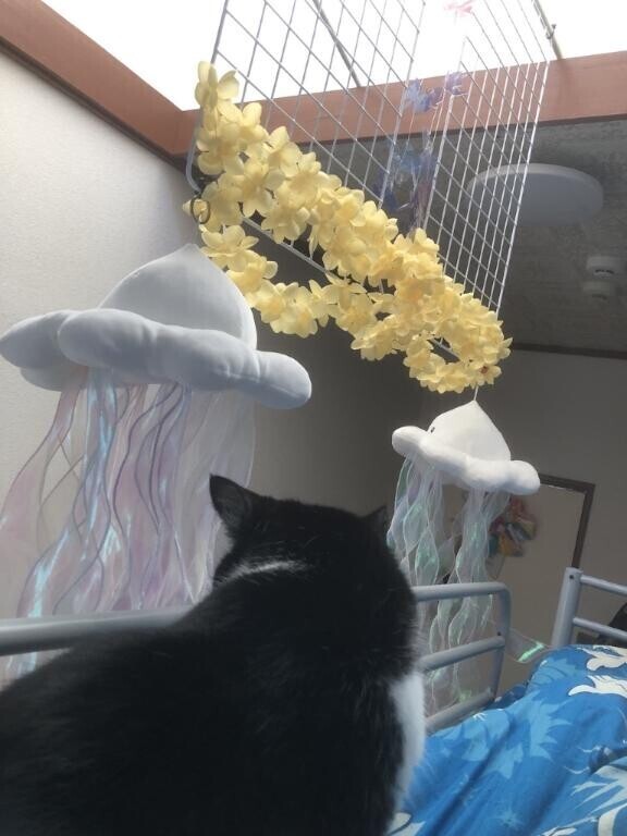 徹夜コース気味な最近…。