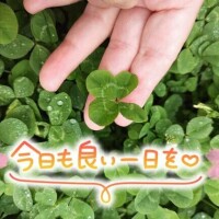 桜川【さくらがわ】