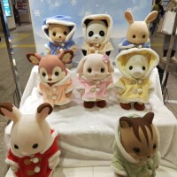 桜川【さくらがわ】