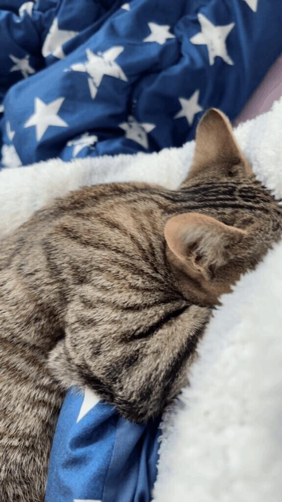 おはようございます