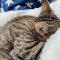 おはようございます