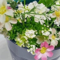 明日出勤します