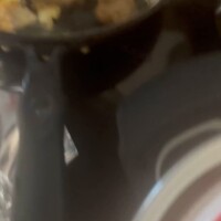 たくさん花を植えていたのに