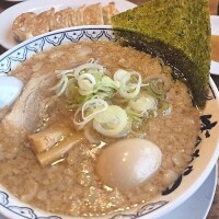文野【ふみの】