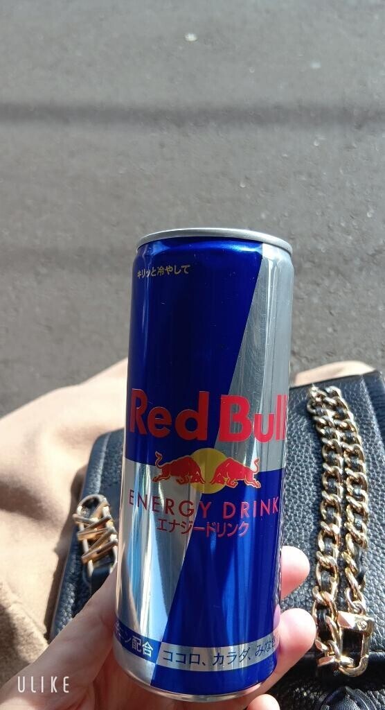 これから本業｡｡｡