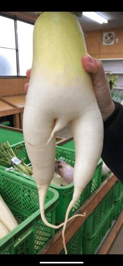 早く貴方に会いたいよ