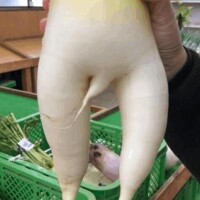 早く貴方に会いたいよ